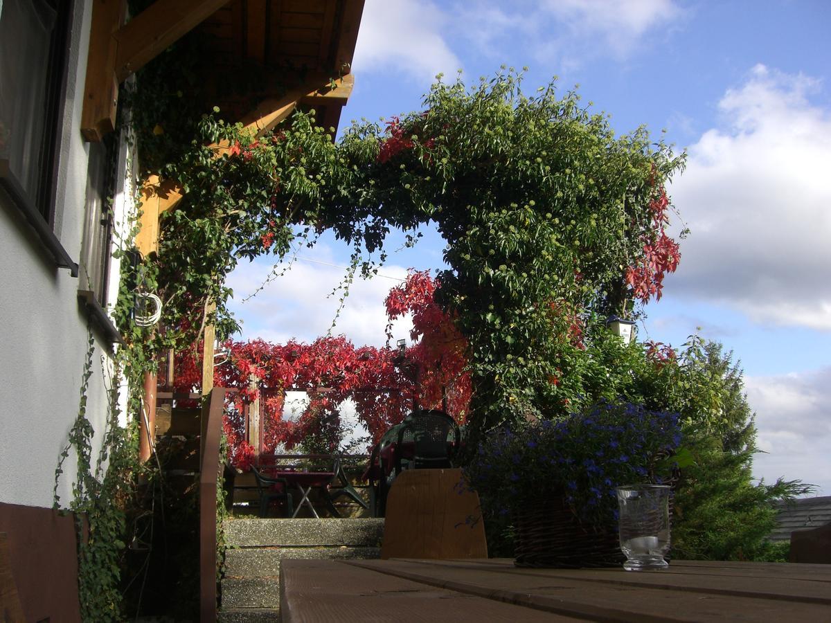 Hotel Dachsberger-Hof Wittenschwand المظهر الخارجي الصورة