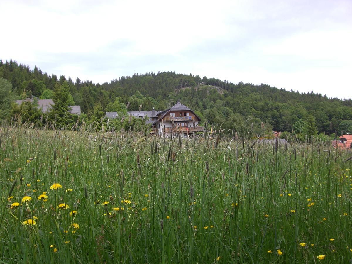 Hotel Dachsberger-Hof Wittenschwand المظهر الخارجي الصورة